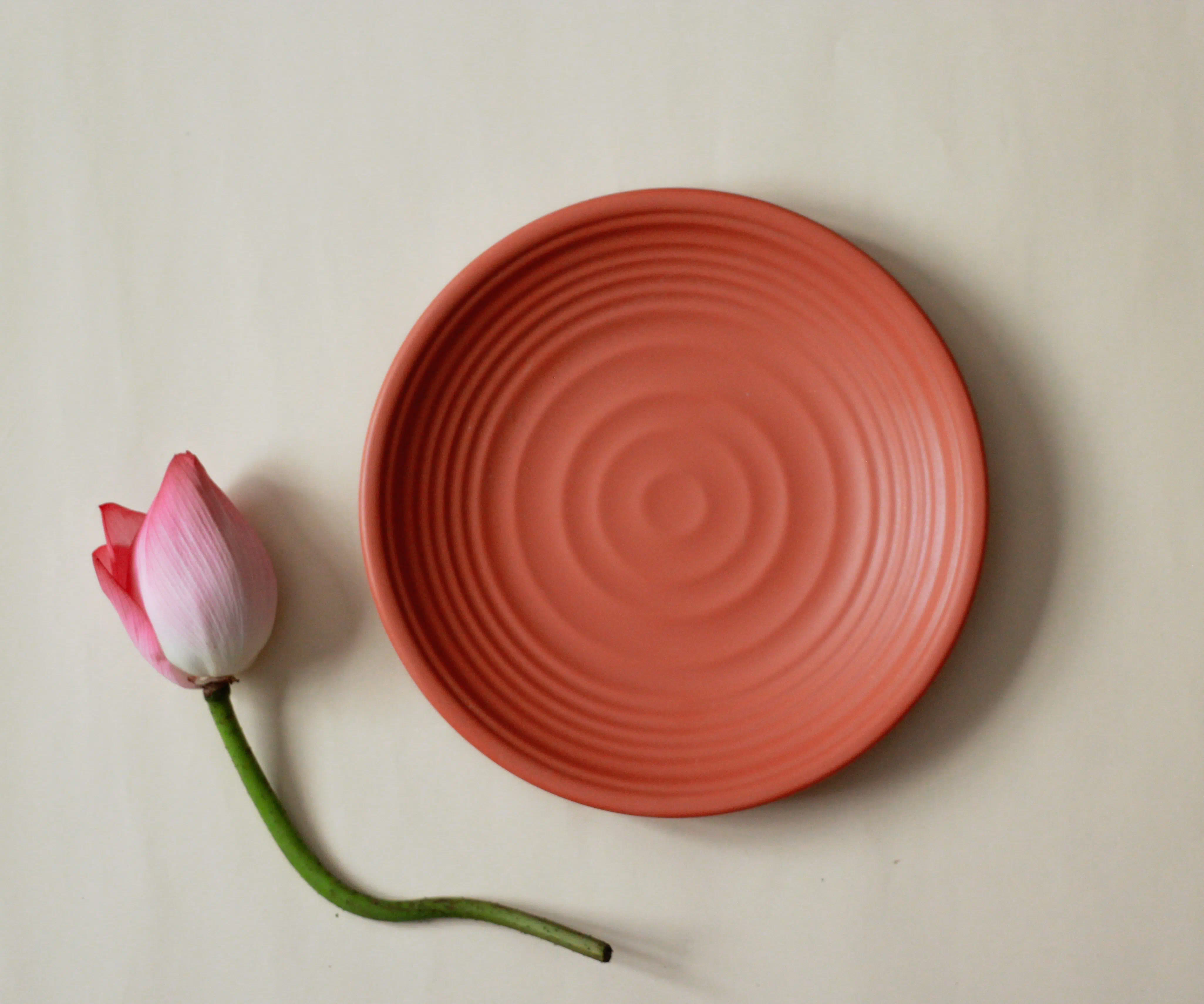 Plato de cerámica
